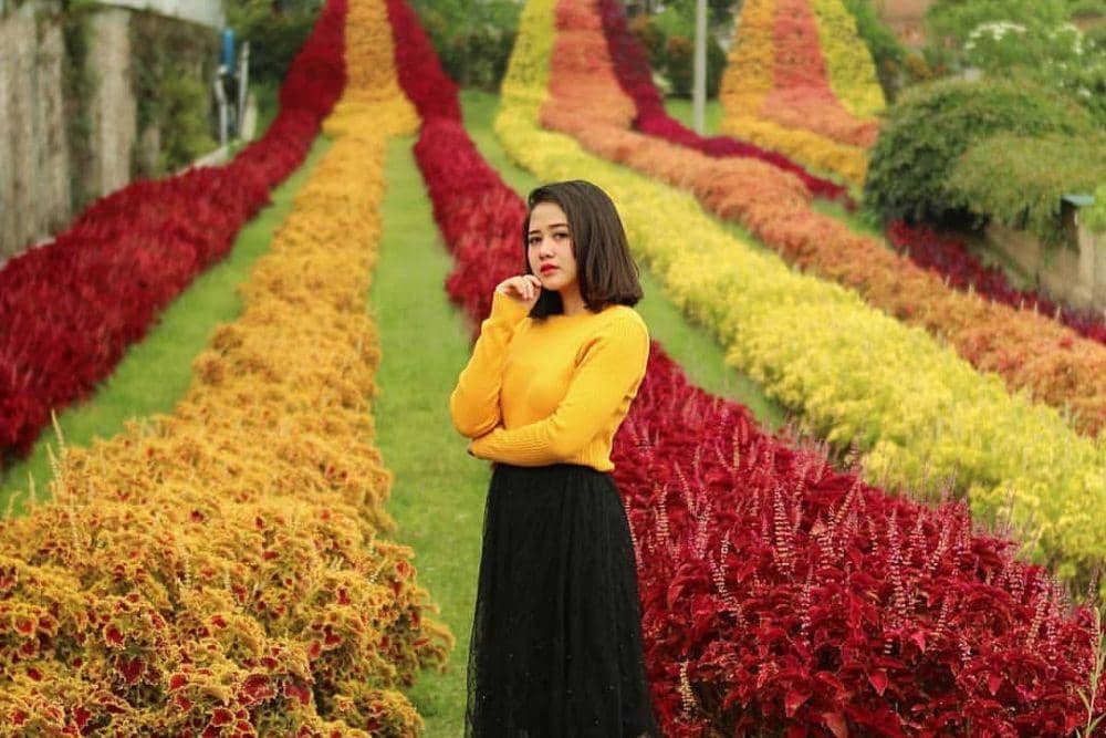 instagram.com/rainbowgarden_lembang