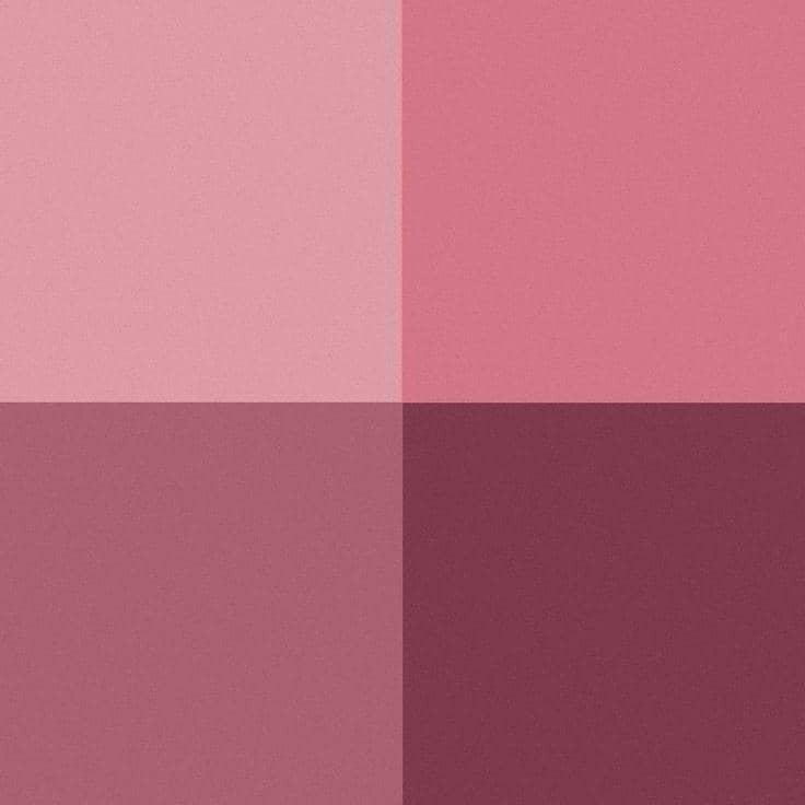pinterest.com, 1. Kategori macam-macam warna pink muda, 2. Kategori macam-macam warna pink pucat, 3. Kategori macam-macam warna pink tua, 4. Psikologi warna pink