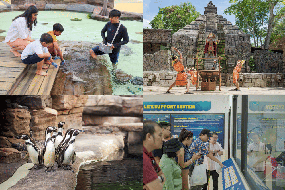 tamansafari.com