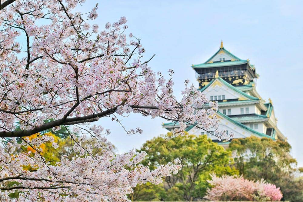 pexels-bagus41-1440476.jpg, 1. Jepang jadi destinasi favorit traveler Indonesia, 2. Dukung gaya hidup global dan dinamis, 3. Paket wisata super lengkap dari 9 travel agent ternama, 4. Kolaborasi lintas sektor yang bikin liburan makin nyaman, 5. Diskon dan cashback hingga puluhan juta rupiah