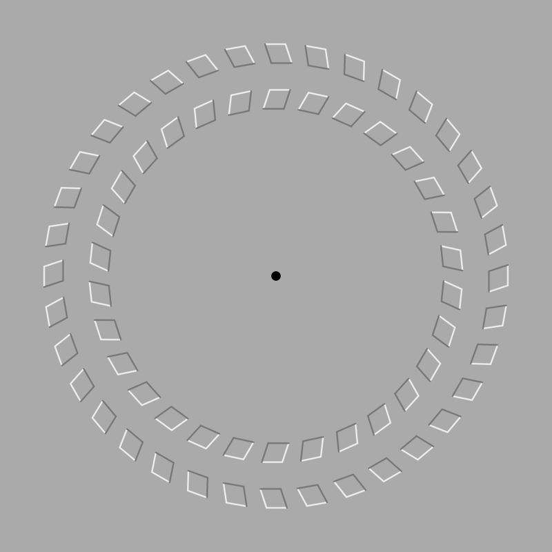 Look at the black dot, then move closer and further away from the screen. It doesn’t stop turning!, Is the ball rolling, or is the floor moving?, These waves make me feel sick!, Do you see the pulsing black circles?, Look just outside the image., Can you focus on a gray dot?, Is this an image of vases, or two people in conversation?, Look at the image upside down—you’ll see!, Our brains just don’t like this one., Is this black shape growing larger?, Is this image 2 D or 3 D?, These lines never meet!, These stairs—how do they work?, Do you feel like you’re being watched?, Who is on the bottom? Who is on the top?, You think this is a normal fork? Look again!, Which of these orange circles is the largest? Neither one!, Yes—these circles are perfectly round!, Be careful not to fall in! Oh—this is a painting?