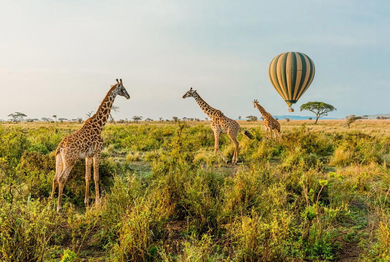 3) Tanzania Australia, Seychelles, South Africa, Indonesia, Argentina, Philippines, United Kingdom, Colombia, Tanzania, United States, Thailand, Switzerland