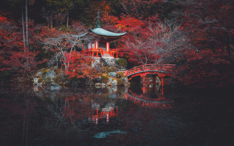 Kyoto, Japan Basilica Cistern, อิสตันบูล, ตุรกี, บิกเบน, ลอนดอน, อังกฤษ, ชลาคาร Adalaj, อินเดีย, ปอร์โตเวเนเร, อิตาลี, อุทยาน Rodrigues Alves, บราซิล, Rani ki Vav, อินเดีย, วัดอรุณ, ไทย, ประตูชัยถนนออกัสตา, โปรตุเกส, ทัชมาฮาล, อินเดีย, ป้อมแดง, อินเดีย, น้ำพุเทรวี, อิตาลี, ติวานากู, โบลิเวีย, สเบตลา, ตูนิเซีย, ป้อมจิตตอร์, อินเดีย, สวนจีน สิงคโปร์, เปตรา จอร์แดน, ซุ้มประตูคอนสแตนติน, อิตาลี, Yaxchilán, เม็กซิโก, โรงอาบน้ำคาราคัลลา, อิตาลี, San Miguel de Allende, เม็กซิโก, วิหารโอลิมเปียนซูส กรุงเอเธนส์ ประเทศกรีซ, ถ้ำฟราซาสซี ประเทศอิตาลี, สุสานซิลลูสตานี ประเทศเปรู, สำนักแห่งเอเธนส์ ประเทศกรีซ, ลาซซาเรตโตแห่งอันโคนา ประเทศอิตาลี, วิหารเอเรคธีออน กรีซ, อนุสรณ์สถานแห่งชาติเดวิลโพสต์ไพล์ แคลิฟอร์เนีย, สุสานหลวง เปตรา จอร์แดน, ตูลุม, เม็กซิโก, แบมบะระ, อังกฤษ, บูดาเปสต์, ฮังการี, ป้อมอาเมร์, อินเดีย, มาชูปิกชู, เปรู, ตอสสาเดอมาร์, สเปน, สวน Gonaitei, ญี่ปุ่น, วิคโลว์, ไอร์แลนด์, ปาเลงเก, เม็กซิโก, Bethesda Terrace, นิวยอร์ก, สหรัฐฯ, โบสถ์ซานปิเอโตร, อิตาลี, สวนชา, มณฑลฉางซิง, จีน, มัสยิด Tin Mal, โมร็อกโก, ป่าสงวนแห่งชาติ Uinta-Wasatch-Cache, ยูทาห์, สหรัฐอเมริกา, ไดโกจิ, เกียวโต, ญี่ปุ่น, แอริโซนา, สหรัฐอเมริกา, อุทยานประวัติศาสตร์แห่งรัฐ Ward Charcoal Ovens ใกล้อีลี, เนวาดา, Vallone dei Mulini, อิตาลี, อุทยานแห่งรัฐสมิธ ร็อค, ออริกอน, สหรัฐอเมริกา, San Juan de Gaztelugatxe, สเปน, ป้อมรายครห์, อินเดีย, หอสังเกตการณ์ทะเลทรายแกรนด์แคนยอน, แอริโซนา, สหรัฐฯ, พระราชวังอิมพีเรียล, ญี่ปุ่น, ซากปราสาทเพนนาร์ด, สหราชอาณาจักร, ปราสาทอิวะคุนิ, ญี่ปุ่น, จังหวัดนางาโนะ, ญี่ปุ่น, วิหารพาร์เธนอน, กรีซ, ปราสาท Classiebawn, ไอร์แลนด์, เชฟชาอูน, โมร็อกโก, สวนชินจูกุ เกียวเอ็น, ญี่ปุ่น, ลักซอร์, อียิปต์, สะพานโบราณจั่วอิง, จีน, ปราสาท Torrechiara, อิตาลี, สวนราชพฤกษ์, ไทย, กำแพงเมืองจีน, ซากปรักหักพังจัตุรัสโรมัน, อิตาลี, ป้อม Lovrijenac, โครเอเชีย, กังหันลมพิทสโตน, บักกิงแฮมเชอร์, คาซามิลา, สเปน, ซากปรักหักพังของชาวมายันในซูนานตูนิช, เบลีซ, กัสเตลโนด์ ลา ชาแปล, ฝรั่งเศส, ปราสาทเบร์ลังกา เด ดูเอโร, สเปน, วิหารลักซอร์, อียิปต์, ประตูราชสีห์, ตุรกี, Trethevy Quoit, คอร์นวอลล์, Tinghir, โมร็อกโก, ปราสาทวอลซิน, เบลเยียม, ปาลาซโซ เวคคิโอ, อิตาลี, วิหารแห่งโพไซดอน, กรีซ, ไรน์แลนด์-พาลาทิเนต, เยอรมนี, แคนยอนเดอเชลลี, แอริโซนา, สหรัฐอเมริกา, นิวยอร์ก ซิตี้, จังหวัดคาโย, เบลีซ, ทิกัล, เอลเปเตง, กัวเตมาลา