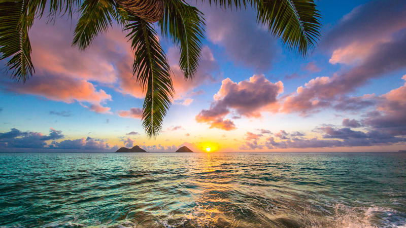 Hawaii Arkansas, California, Connecticut, Delaware, Illinois, Kentucky, Maryland, Massachusetts, Minnesota, Mississippi, Missouri, Nebraska, New Hampshire, New Mexico, New York, North Carolina, Oklahoma, Rhode Island, South Carolina, South Dakota, Washington, West Virginia, Wisconsin