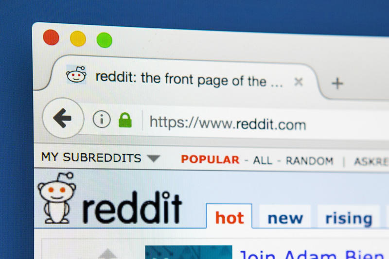 The Onion, The Pirate Bay, America Online/AOL, Ask Jeeves, Rotten Tomatoes, MapQuest, Weather.com, Scary Maze Game, MSN Messenger, Wikipedia