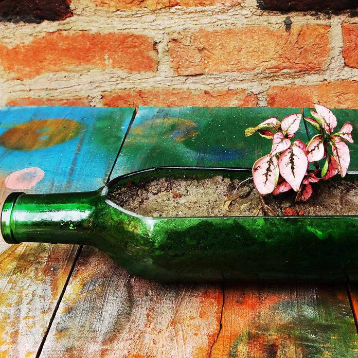 Foam Beverage Can Holders, Ice Trays, PVC Piping, Milk Crates, Wine Cork Caulk Saver, Coffee Container, Paper Tubes, Toothbrushes, Tennis Balls, Milk Jugs, Clamshell Containers, Pipe Insulation, Wine Bottle, Gutter Garden, Curtain Rods, Mesh Produce Bag, Containers, Cardboard Boxes, Old Clothing, Used or Leftover Building Materials, Old Rake, Electrical Box, Packing Peanuts, Laundry Jug Watering Can, Gardening Tool Hack, Pop Tops, Old Sneaker, Bread Tabs, Pie Plate, Egg Cartons, Tape Containers, Wine Box Shoe Storage, Garden Hose, Old Gloves, Bucket Lids, Three-Ring Binder Spine, Painter's Plastic, Coffee Bag Ties, Cereal Box, Coffee Carry-All, To-Go Coffee Cup, Rx Bottle, Tissue Box, Peanut Butter Jars, Bubble Wrap®, Golf Tees, Bike Inner Tubes, Grated Cheese Container, Rubber Chair Leg Cap, Garment Bag, Spray Paint Organizer, No-Slide Knee Pads, Wire Mesh Fence, Key Ring, Appliance and Tool Manuals, Toothbrush Holder, Tomato Cage, Broken Laundry Basket, Floral Water Tubes, Drill Box, Floor Tiles, Fence Post, Twist Ties, Clothespins, Electrical Wire, Golf Club Covers, Yardstick, Shelf Liner, Flowerpot Drip Pans