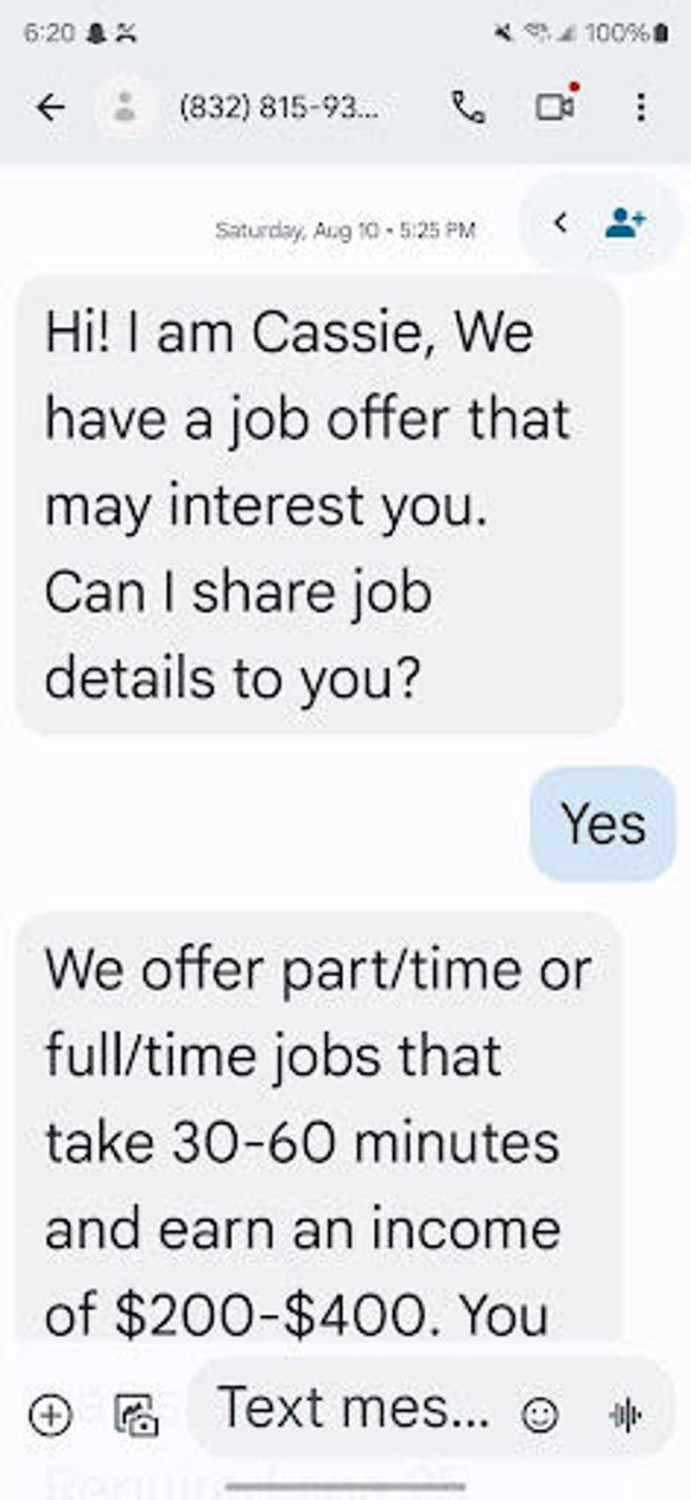 How job scams work, How to avoid employment scams online, Can job scams lead to ID theft?, How to report employment scams