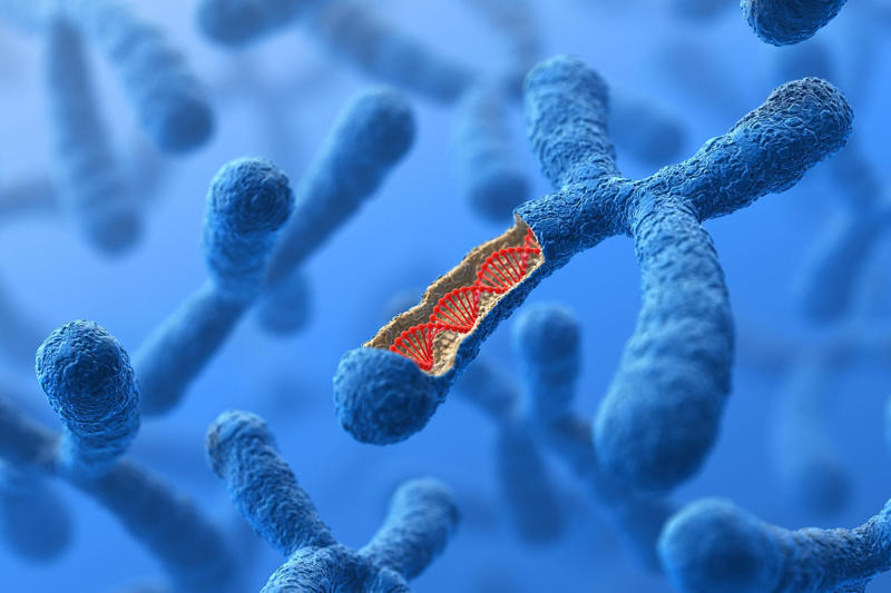 The Synthetic Human Genome Project, Controversial, Ethical concerns, UK-based research and funding, The benefits outweighed the risks, Human Genome Project, Reading, but not writing, Developing the methods, Genetic therapies, Curing almost any disease