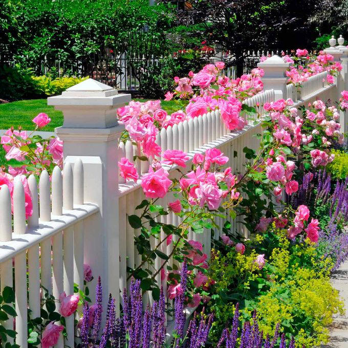 English Country Garden, Pots & Planters, Superb Shrubs, Eye-Catching Flower Wall, Raised, Tiered Beds, Drought-Tolerant Plants, Cool Contemporary with a Splash of Color, Raised Stone Beds, Hanging Baskets, Unique and Unusual Planters, About the Expert