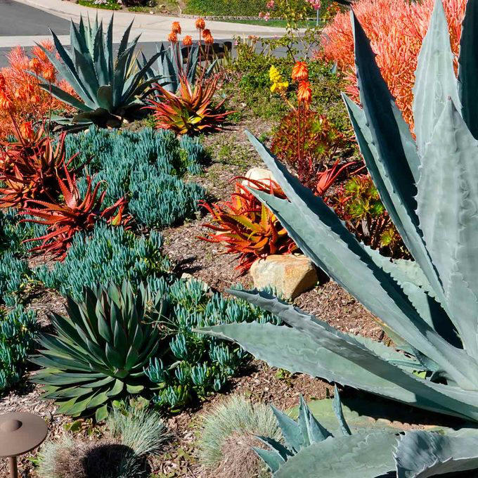 English Country Garden, Pots & Planters, Superb Shrubs, Eye-Catching Flower Wall, Raised, Tiered Beds, Drought-Tolerant Plants, Cool Contemporary with a Splash of Color, Raised Stone Beds, Hanging Baskets, Unique and Unusual Planters, About the Expert