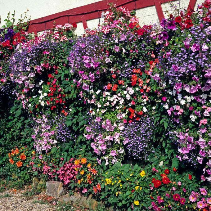 English Country Garden, Pots & Planters, Superb Shrubs, Eye-Catching Flower Wall, Raised, Tiered Beds, Drought-Tolerant Plants, Cool Contemporary with a Splash of Color, Raised Stone Beds, Hanging Baskets, Unique and Unusual Planters, About the Expert