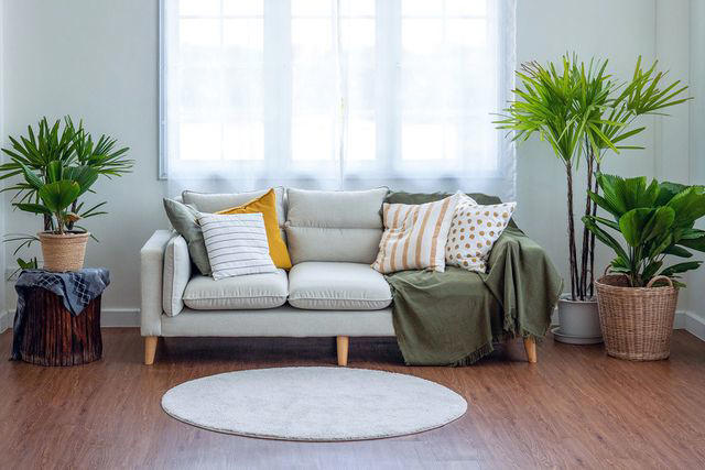 An Oversized Sofa in the Middle, Too Many Chairs, A Rug That's Too Small, Low and Flat Seating, Furniture Against the Walls, Poorly-Fitting Drapes