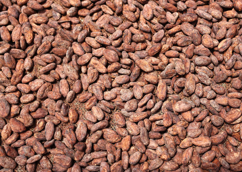 Have it your way, The original chocoholics, Rich chocolate for rich people, Chocolate for children, Here's how to make it right