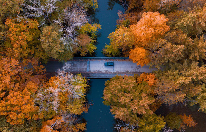 Bird's-eye views you won't believe are real, Konditaget Luders, Copenhagen, Denmark, Ajuda Botanical Garden, Lisbon, Portugal, Henningsvaer football pitch, Lofoten Islands, Norway, Guanajuato, Mexico, Innis Chonnel Castle, Loch Awe, Scotland, Tegallalang rice terraces, Indonesia, Hong Kong, Salt Pans, Gozo, Malta, Shark Fin Cove, Davenport, California, USA, Koh Lipe, Thailand, Golden Gate Bridge, San Francisco, California, USA, Grace Bay, Turks and Caicos Islands, Namib Desert, Namibia, Transfagarasan, Romania, Niagara Falls, Canada/USA, New York City, New York, USA, Road near Laki Volcano, Iceland, Atacama Desert, Chile, San Francisco, California, USA, Na Pali Coast State Wilderness Park, Kauai Island, Hawaii, USA, Yan'an Elevated Road Interchange, Shanghai, China, Navagio Beach, Zakynthos, Greece, Forests around Berthoud Pass, Colorado, USA, Maasai Mara National Reserve, Kenya, Estrada Marginal Norte, Peniche, Portugal, Twelve Apostles, Victoria, Australia, Wongwian Yai, Bangkok, Thailand, Choui Fong Tea Farm, Thailand, Rogers Centre, Toronto, Canada, Silhouette Island, Seychelles, Richfield County Park, Davison, Michigan, USA, Fez, Morocco, Cleopatra Beach, Turkey, Okavango Delta, Botswana, Ningaloo Marine Park, Exmouth, Australia, Mekong Delta, Vietnam, Copacabana Beach, Rio de Janeiro, Brazil, Rheinschlucht, Versam, Switzerland, Colonia de Sant Jordi, Ses Salines, Mallorca, Spain, Sheikh Zayed Road Interchange 1, Dubai, UAE, Zhangye National Geopark, China, Lavender fields in Provence, France, Shifen Waterfall, Taiwan, Misfat Al Abriyeen, Oman, Dubrovnik, Croatia, Clarence Battery, Guernsey, UK, Hverir Geothermal Area, Iceland, Chapman Peak Drive, Cape Town, South Africa, Ronda, Malaga, Spain, Jokulsarlon, Iceland, Rub' Al Khali, Arabian Desert, Vaavu Atoll, Maldives, Bled Island, Slovenia, Gorreana Tea Factory, the Azores, Portugal, Pyrgos Kallistis, Santorini, Greece, Croyde Bay, Devon, UK, Bay of Kotor, Montenegro, Joffre Lakes Provincial Park, Canada, Grand Prismatic Spring, Yellowstone National Park, Wyoming, USA