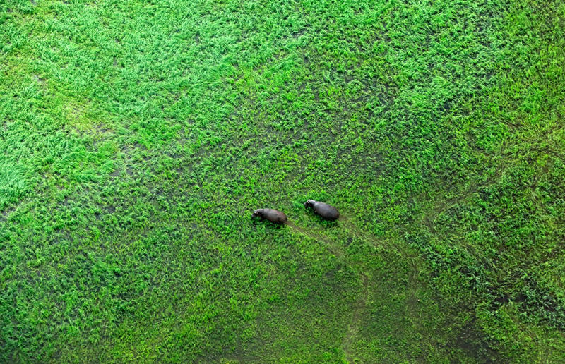 Bird's-eye views you won't believe are real, Konditaget Luders, Copenhagen, Denmark, Ajuda Botanical Garden, Lisbon, Portugal, Henningsvaer football pitch, Lofoten Islands, Norway, Guanajuato, Mexico, Innis Chonnel Castle, Loch Awe, Scotland, Tegallalang rice terraces, Indonesia, Hong Kong, Salt Pans, Gozo, Malta, Shark Fin Cove, Davenport, California, USA, Koh Lipe, Thailand, Golden Gate Bridge, San Francisco, California, USA, Grace Bay, Turks and Caicos Islands, Namib Desert, Namibia, Transfagarasan, Romania, Niagara Falls, Canada/USA, New York City, New York, USA, Road near Laki Volcano, Iceland, Atacama Desert, Chile, San Francisco, California, USA, Na Pali Coast State Wilderness Park, Kauai Island, Hawaii, USA, Yan'an Elevated Road Interchange, Shanghai, China, Navagio Beach, Zakynthos, Greece, Forests around Berthoud Pass, Colorado, USA, Maasai Mara National Reserve, Kenya, Estrada Marginal Norte, Peniche, Portugal, Twelve Apostles, Victoria, Australia, Wongwian Yai, Bangkok, Thailand, Choui Fong Tea Farm, Thailand, Rogers Centre, Toronto, Canada, Silhouette Island, Seychelles, Richfield County Park, Davison, Michigan, USA, Fez, Morocco, Cleopatra Beach, Turkey, Okavango Delta, Botswana, Ningaloo Marine Park, Exmouth, Australia, Mekong Delta, Vietnam, Copacabana Beach, Rio de Janeiro, Brazil, Rheinschlucht, Versam, Switzerland, Colonia de Sant Jordi, Ses Salines, Mallorca, Spain, Sheikh Zayed Road Interchange 1, Dubai, UAE, Zhangye National Geopark, China, Lavender fields in Provence, France, Shifen Waterfall, Taiwan, Misfat Al Abriyeen, Oman, Dubrovnik, Croatia, Clarence Battery, Guernsey, UK, Hverir Geothermal Area, Iceland, Chapman Peak Drive, Cape Town, South Africa, Ronda, Malaga, Spain, Jokulsarlon, Iceland, Rub' Al Khali, Arabian Desert, Vaavu Atoll, Maldives, Bled Island, Slovenia, Gorreana Tea Factory, the Azores, Portugal, Pyrgos Kallistis, Santorini, Greece, Croyde Bay, Devon, UK, Bay of Kotor, Montenegro, Joffre Lakes Provincial Park, Canada, Grand Prismatic Spring, Yellowstone National Park, Wyoming, USA
