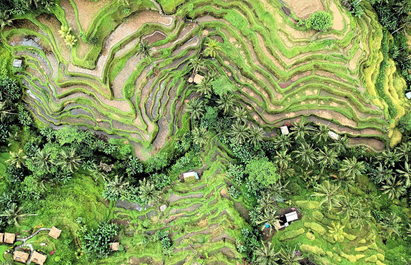 Bird's-eye views you won't believe are real, Konditaget Luders, Copenhagen, Denmark, Ajuda Botanical Garden, Lisbon, Portugal, Henningsvaer football pitch, Lofoten Islands, Norway, Guanajuato, Mexico, Innis Chonnel Castle, Loch Awe, Scotland, Tegallalang rice terraces, Indonesia, Hong Kong, Salt Pans, Gozo, Malta, Shark Fin Cove, Davenport, California, USA, Koh Lipe, Thailand, Golden Gate Bridge, San Francisco, California, USA, Grace Bay, Turks and Caicos Islands, Namib Desert, Namibia, Transfagarasan, Romania, Niagara Falls, Canada/USA, New York City, New York, USA, Road near Laki Volcano, Iceland, Atacama Desert, Chile, San Francisco, California, USA, Na Pali Coast State Wilderness Park, Kauai Island, Hawaii, USA, Yan'an Elevated Road Interchange, Shanghai, China, Navagio Beach, Zakynthos, Greece, Forests around Berthoud Pass, Colorado, USA, Maasai Mara National Reserve, Kenya, Estrada Marginal Norte, Peniche, Portugal, Twelve Apostles, Victoria, Australia, Wongwian Yai, Bangkok, Thailand, Choui Fong Tea Farm, Thailand, Rogers Centre, Toronto, Canada, Silhouette Island, Seychelles, Richfield County Park, Davison, Michigan, USA, Fez, Morocco, Cleopatra Beach, Turkey, Okavango Delta, Botswana, Ningaloo Marine Park, Exmouth, Australia, Mekong Delta, Vietnam, Copacabana Beach, Rio de Janeiro, Brazil, Rheinschlucht, Versam, Switzerland, Colonia de Sant Jordi, Ses Salines, Mallorca, Spain, Sheikh Zayed Road Interchange 1, Dubai, UAE, Zhangye National Geopark, China, Lavender fields in Provence, France, Shifen Waterfall, Taiwan, Misfat Al Abriyeen, Oman, Dubrovnik, Croatia, Clarence Battery, Guernsey, UK, Hverir Geothermal Area, Iceland, Chapman Peak Drive, Cape Town, South Africa, Ronda, Malaga, Spain, Jokulsarlon, Iceland, Rub' Al Khali, Arabian Desert, Vaavu Atoll, Maldives, Bled Island, Slovenia, Gorreana Tea Factory, the Azores, Portugal, Pyrgos Kallistis, Santorini, Greece, Croyde Bay, Devon, UK, Bay of Kotor, Montenegro, Joffre Lakes Provincial Park, Canada, Grand Prismatic Spring, Yellowstone National Park, Wyoming, USA