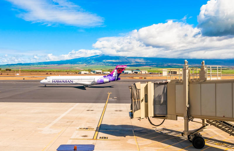 Hawaiian Airlines (1929) Aviation giants, Air India (1932), Cubana (1929), LATAM Airlines (1929), Hawaiian Airlines (1929), LOT Polish Airlines (1928), Iberia (1927), Air Serbia (1927), American Airlines (1926), Delta (1925), Finnair (1923), Qantas (1920), British Airways (1919), Avianca (1919), KLM (1919)