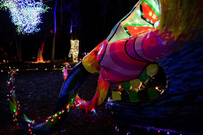 Christmas at the Ark Encounter (Nov. 28-Jan. 3), Christmas at the Creation Museum (Nov. 28-Jan. 3), Christmas Glow (Nov. 20-Dec. 24), Downtown Dazzle (Nov. 29-Dec. 20), Holidays on the Farm (Dec. 4-23), CAM Nights and Holiday Lights with Blink (Dec. 4-26), Light in the Forest (Dec. 5-28), Light Up Middletown (Nov. 27-Dec. 31), Light Up the Fair (Nov. 21-Dec. 27), Perfect North's Northern Lights (Nov. 21-Dec. 23), Bright Lights in Bright, Indiana (Nov. 28-Jan. 4), Cincinnati's Nights of Lights (Nov. 26-Jan. 3), PNC Festival of Lights (Nov. 20-Jan. 4), Pyramid Hill Lights (Nov. 14-Jan. 4), Festival of Ferns (Nov. 1-Jan. 4), The Christmas Ranch (Nov. 21-Dec. 23), WinterFest (Nov. 28-Dec. 31), Winter Nights &amp; River Lights (Nov. 21-Jan. 4), Yuletide Village Season of Lights (Nov. 28-Dec. 20)