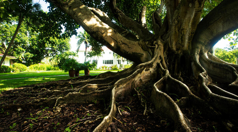 Spring into history, Welcome to The Heitman Hotel, A series of new owners and names, Meet the current owners, The property today, In the garden, Let’s eat, From spa services and weddings to yoga and guest rooms, A first in decades