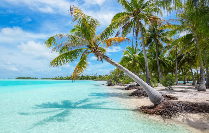 09. Green Lagoon - French Polynesia 50. Rabbit Beach - Italy, 49. Eagle Beach - Aruba, 48. Kynance Cove - United Kingdom, 47. Varadero Beach - Cuba, 46. Cathedral Cove Beach - New Zealand, 45. Bon Bon Beach - Philippines, 44. Henderson Beach - Florida, United States, 43. Cayo Levantado - Dominican Republic, 42. Pipe Creek Sandbar - Bahamas, 41. Diamond Beach - Iceland, 40. Kapalua Bay Beach - Hawaii, United States, 39. Kelingking Beach - Indonesia, 38. Playa Xpu Ha - Mexico, 37. Colombier Beach - St Barth, 36. Kelebekler Vadisi - Turkey, 35. Baia do Sancho - Brazil, 34. Grand Anse - Grenada, 33. Wharton Beach - Australia, 32. Boulders Beach - South Africa, 31. Cayo Zapatilla - Panama, 30. Maundays Bay - Anguilla, 29. Fteri Beach - Greece, 28. Horseshoe Bay - Bermuda, 27. Grote Knip - Curaçao, 26. Seven Mile Beach - Cayman Islands, 25. Praia da Marinha - Portugal, 24. Cayo de Agua - Venezuela, 23. Freedom Beach - Thailand, 22. Anse Source D'Argent - Seychelles, 21. Gardner Bay - Ecuador, 20. Anchor Bay Beach - Australia, 19. Cala Goloritze - Italy, 18. Puinn Sand Beach - Norway, 17. Grace Bay - Turks and Caicos, 16. Playa Balandra - Mexico, 15. One Foot Island - Cook Islands, 14. Lanikai Beach - Hawaii, United States, 13. Aharen Beach - Japan, 12. Le Morne Beach - Mauritius, 11. Calo des Moro - Spain, 10. Horse Shoe Island - Myanmar, 09. Green Lagoon - French Polynesia, 08. Anse Georgette - Seychelles, 07. Pink Beach - Indonesia, 06. Turquoise Bay - Australia, 05. Voutoumi Beach - Greece, 04. Entalula Beach - Philippines, 03. Meads Bay - Anguilla, 02. Cala Mariolu - Italy, 01. Trunk Bay, St. John - US Virgin Islands