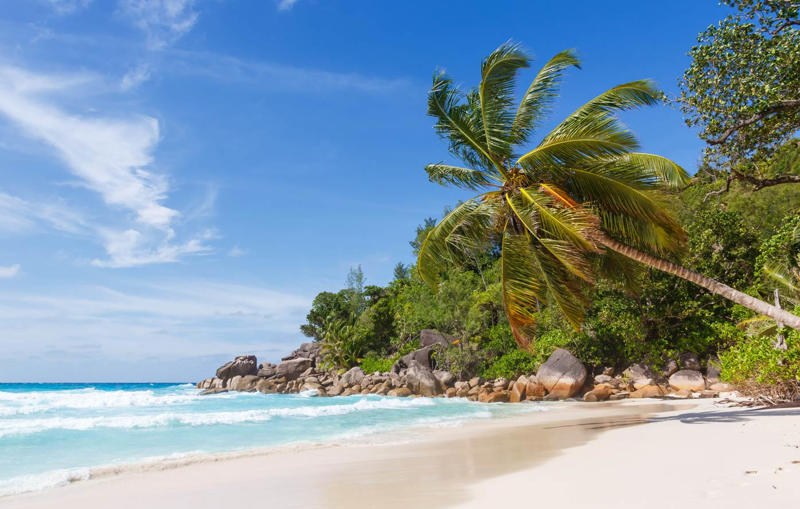 08. Anse Georgette - Seychelles 50. Rabbit Beach - Italy, 49. Eagle Beach - Aruba, 48. Kynance Cove - United Kingdom, 47. Varadero Beach - Cuba, 46. Cathedral Cove Beach - New Zealand, 45. Bon Bon Beach - Philippines, 44. Henderson Beach - Florida, United States, 43. Cayo Levantado - Dominican Republic, 42. Pipe Creek Sandbar - Bahamas, 41. Diamond Beach - Iceland, 40. Kapalua Bay Beach - Hawaii, United States, 39. Kelingking Beach - Indonesia, 38. Playa Xpu Ha - Mexico, 37. Colombier Beach - St Barth, 36. Kelebekler Vadisi - Turkey, 35. Baia do Sancho - Brazil, 34. Grand Anse - Grenada, 33. Wharton Beach - Australia, 32. Boulders Beach - South Africa, 31. Cayo Zapatilla - Panama, 30. Maundays Bay - Anguilla, 29. Fteri Beach - Greece, 28. Horseshoe Bay - Bermuda, 27. Grote Knip - Curaçao, 26. Seven Mile Beach - Cayman Islands, 25. Praia da Marinha - Portugal, 24. Cayo de Agua - Venezuela, 23. Freedom Beach - Thailand, 22. Anse Source D'Argent - Seychelles, 21. Gardner Bay - Ecuador, 20. Anchor Bay Beach - Australia, 19. Cala Goloritze - Italy, 18. Puinn Sand Beach - Norway, 17. Grace Bay - Turks and Caicos, 16. Playa Balandra - Mexico, 15. One Foot Island - Cook Islands, 14. Lanikai Beach - Hawaii, United States, 13. Aharen Beach - Japan, 12. Le Morne Beach - Mauritius, 11. Calo des Moro - Spain, 10. Horse Shoe Island - Myanmar, 09. Green Lagoon - French Polynesia, 08. Anse Georgette - Seychelles, 07. Pink Beach - Indonesia, 06. Turquoise Bay - Australia, 05. Voutoumi Beach - Greece, 04. Entalula Beach - Philippines, 03. Meads Bay - Anguilla, 02. Cala Mariolu - Italy, 01. Trunk Bay, St. John - US Virgin Islands