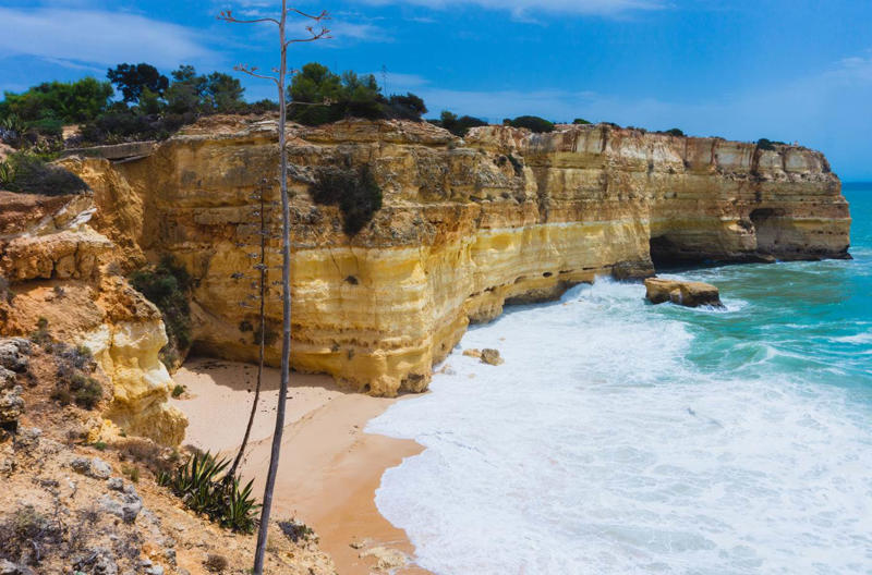 25. Praia da Marinha - Portugal 50. Rabbit Beach - Italy, 49. Eagle Beach - Aruba, 48. Kynance Cove - United Kingdom, 47. Varadero Beach - Cuba, 46. Cathedral Cove Beach - New Zealand, 45. Bon Bon Beach - Philippines, 44. Henderson Beach - Florida, United States, 43. Cayo Levantado - Dominican Republic, 42. Pipe Creek Sandbar - Bahamas, 41. Diamond Beach - Iceland, 40. Kapalua Bay Beach - Hawaii, United States, 39. Kelingking Beach - Indonesia, 38. Playa Xpu Ha - Mexico, 37. Colombier Beach - St Barth, 36. Kelebekler Vadisi - Turkey, 35. Baia do Sancho - Brazil, 34. Grand Anse - Grenada, 33. Wharton Beach - Australia, 32. Boulders Beach - South Africa, 31. Cayo Zapatilla - Panama, 30. Maundays Bay - Anguilla, 29. Fteri Beach - Greece, 28. Horseshoe Bay - Bermuda, 27. Grote Knip - Curaçao, 26. Seven Mile Beach - Cayman Islands, 25. Praia da Marinha - Portugal, 24. Cayo de Agua - Venezuela, 23. Freedom Beach - Thailand, 22. Anse Source D'Argent - Seychelles, 21. Gardner Bay - Ecuador, 20. Anchor Bay Beach - Australia, 19. Cala Goloritze - Italy, 18. Puinn Sand Beach - Norway, 17. Grace Bay - Turks and Caicos, 16. Playa Balandra - Mexico, 15. One Foot Island - Cook Islands, 14. Lanikai Beach - Hawaii, United States, 13. Aharen Beach - Japan, 12. Le Morne Beach - Mauritius, 11. Calo des Moro - Spain, 10. Horse Shoe Island - Myanmar, 09. Green Lagoon - French Polynesia, 08. Anse Georgette - Seychelles, 07. Pink Beach - Indonesia, 06. Turquoise Bay - Australia, 05. Voutoumi Beach - Greece, 04. Entalula Beach - Philippines, 03. Meads Bay - Anguilla, 02. Cala Mariolu - Italy, 01. Trunk Bay, St. John - US Virgin Islands