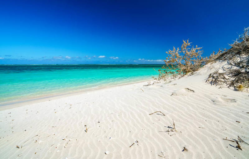 06. Turquoise Bay - Australia 50. Rabbit Beach - Italy, 49. Eagle Beach - Aruba, 48. Kynance Cove - United Kingdom, 47. Varadero Beach - Cuba, 46. Cathedral Cove Beach - New Zealand, 45. Bon Bon Beach - Philippines, 44. Henderson Beach - Florida, United States, 43. Cayo Levantado - Dominican Republic, 42. Pipe Creek Sandbar - Bahamas, 41. Diamond Beach - Iceland, 40. Kapalua Bay Beach - Hawaii, United States, 39. Kelingking Beach - Indonesia, 38. Playa Xpu Ha - Mexico, 37. Colombier Beach - St Barth, 36. Kelebekler Vadisi - Turkey, 35. Baia do Sancho - Brazil, 34. Grand Anse - Grenada, 33. Wharton Beach - Australia, 32. Boulders Beach - South Africa, 31. Cayo Zapatilla - Panama, 30. Maundays Bay - Anguilla, 29. Fteri Beach - Greece, 28. Horseshoe Bay - Bermuda, 27. Grote Knip - Curaçao, 26. Seven Mile Beach - Cayman Islands, 25. Praia da Marinha - Portugal, 24. Cayo de Agua - Venezuela, 23. Freedom Beach - Thailand, 22. Anse Source D'Argent - Seychelles, 21. Gardner Bay - Ecuador, 20. Anchor Bay Beach - Australia, 19. Cala Goloritze - Italy, 18. Puinn Sand Beach - Norway, 17. Grace Bay - Turks and Caicos, 16. Playa Balandra - Mexico, 15. One Foot Island - Cook Islands, 14. Lanikai Beach - Hawaii, United States, 13. Aharen Beach - Japan, 12. Le Morne Beach - Mauritius, 11. Calo des Moro - Spain, 10. Horse Shoe Island - Myanmar, 09. Green Lagoon - French Polynesia, 08. Anse Georgette - Seychelles, 07. Pink Beach - Indonesia, 06. Turquoise Bay - Australia, 05. Voutoumi Beach - Greece, 04. Entalula Beach - Philippines, 03. Meads Bay - Anguilla, 02. Cala Mariolu - Italy, 01. Trunk Bay, St. John - US Virgin Islands