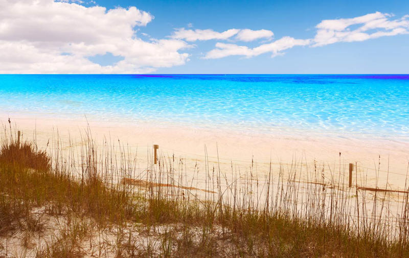 44. Henderson Beach - Florida, United States 50. Rabbit Beach - Italy, 49. Eagle Beach - Aruba, 48. Kynance Cove - United Kingdom, 47. Varadero Beach - Cuba, 46. Cathedral Cove Beach - New Zealand, 45. Bon Bon Beach - Philippines, 44. Henderson Beach - Florida, United States, 43. Cayo Levantado - Dominican Republic, 42. Pipe Creek Sandbar - Bahamas, 41. Diamond Beach - Iceland, 40. Kapalua Bay Beach - Hawaii, United States, 39. Kelingking Beach - Indonesia, 38. Playa Xpu Ha - Mexico, 37. Colombier Beach - St Barth, 36. Kelebekler Vadisi - Turkey, 35. Baia do Sancho - Brazil, 34. Grand Anse - Grenada, 33. Wharton Beach - Australia, 32. Boulders Beach - South Africa, 31. Cayo Zapatilla - Panama, 30. Maundays Bay - Anguilla, 29. Fteri Beach - Greece, 28. Horseshoe Bay - Bermuda, 27. Grote Knip - Curaçao, 26. Seven Mile Beach - Cayman Islands, 25. Praia da Marinha - Portugal, 24. Cayo de Agua - Venezuela, 23. Freedom Beach - Thailand, 22. Anse Source D'Argent - Seychelles, 21. Gardner Bay - Ecuador, 20. Anchor Bay Beach - Australia, 19. Cala Goloritze - Italy, 18. Puinn Sand Beach - Norway, 17. Grace Bay - Turks and Caicos, 16. Playa Balandra - Mexico, 15. One Foot Island - Cook Islands, 14. Lanikai Beach - Hawaii, United States, 13. Aharen Beach - Japan, 12. Le Morne Beach - Mauritius, 11. Calo des Moro - Spain, 10. Horse Shoe Island - Myanmar, 09. Green Lagoon - French Polynesia, 08. Anse Georgette - Seychelles, 07. Pink Beach - Indonesia, 06. Turquoise Bay - Australia, 05. Voutoumi Beach - Greece, 04. Entalula Beach - Philippines, 03. Meads Bay - Anguilla, 02. Cala Mariolu - Italy, 01. Trunk Bay, St. John - US Virgin Islands