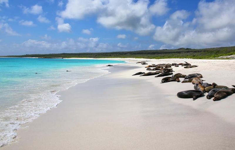21. Gardner Bay - Ecuador 50. Rabbit Beach - Italy, 49. Eagle Beach - Aruba, 48. Kynance Cove - United Kingdom, 47. Varadero Beach - Cuba, 46. Cathedral Cove Beach - New Zealand, 45. Bon Bon Beach - Philippines, 44. Henderson Beach - Florida, United States, 43. Cayo Levantado - Dominican Republic, 42. Pipe Creek Sandbar - Bahamas, 41. Diamond Beach - Iceland, 40. Kapalua Bay Beach - Hawaii, United States, 39. Kelingking Beach - Indonesia, 38. Playa Xpu Ha - Mexico, 37. Colombier Beach - St Barth, 36. Kelebekler Vadisi - Turkey, 35. Baia do Sancho - Brazil, 34. Grand Anse - Grenada, 33. Wharton Beach - Australia, 32. Boulders Beach - South Africa, 31. Cayo Zapatilla - Panama, 30. Maundays Bay - Anguilla, 29. Fteri Beach - Greece, 28. Horseshoe Bay - Bermuda, 27. Grote Knip - Curaçao, 26. Seven Mile Beach - Cayman Islands, 25. Praia da Marinha - Portugal, 24. Cayo de Agua - Venezuela, 23. Freedom Beach - Thailand, 22. Anse Source D'Argent - Seychelles, 21. Gardner Bay - Ecuador, 20. Anchor Bay Beach - Australia, 19. Cala Goloritze - Italy, 18. Puinn Sand Beach - Norway, 17. Grace Bay - Turks and Caicos, 16. Playa Balandra - Mexico, 15. One Foot Island - Cook Islands, 14. Lanikai Beach - Hawaii, United States, 13. Aharen Beach - Japan, 12. Le Morne Beach - Mauritius, 11. Calo des Moro - Spain, 10. Horse Shoe Island - Myanmar, 09. Green Lagoon - French Polynesia, 08. Anse Georgette - Seychelles, 07. Pink Beach - Indonesia, 06. Turquoise Bay - Australia, 05. Voutoumi Beach - Greece, 04. Entalula Beach - Philippines, 03. Meads Bay - Anguilla, 02. Cala Mariolu - Italy, 01. Trunk Bay, St. John - US Virgin Islands