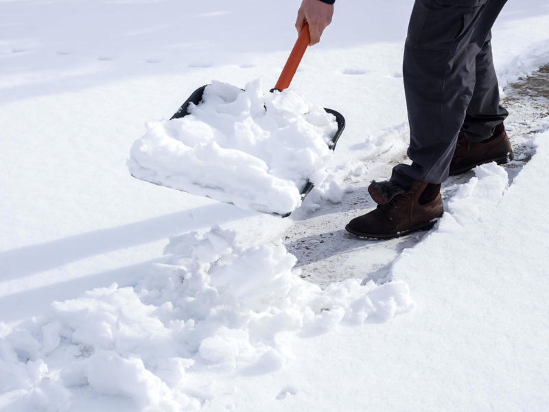 Keep their paws well-groomed, Keep your dog warm, Get them a coat, Be aware of winter hazards, Shovel the garden, Try to avoid overfeeding them, Keep them active, Make them visible