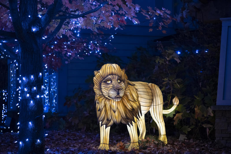Christmas at the Ark Encounter (Nov. 28-Jan. 3), Christmas at the Creation Museum (Nov. 28-Jan. 3), Christmas Glow (Nov. 20-Dec. 24), Downtown Dazzle (Nov. 29-Dec. 20), Holidays on the Farm (Dec. 4-23), CAM Nights and Holiday Lights with Blink (Dec. 4-26), Light in the Forest (Dec. 5-28), Light Up Middletown (Nov. 27-Dec. 31), Light Up the Fair (Nov. 21-Dec. 27), Perfect North's Northern Lights (Nov. 21-Dec. 23), Bright Lights in Bright, Indiana (Nov. 28-Jan. 4), Cincinnati's Nights of Lights (Nov. 26-Jan. 3), PNC Festival of Lights (Nov. 20-Jan. 4), Pyramid Hill Lights (Nov. 14-Jan. 4), Festival of Ferns (Nov. 1-Jan. 4), The Christmas Ranch (Nov. 21-Dec. 23), WinterFest (Nov. 28-Dec. 31), Winter Nights &amp; River Lights (Nov. 21-Jan. 4), Yuletide Village Season of Lights (Nov. 28-Dec. 20)