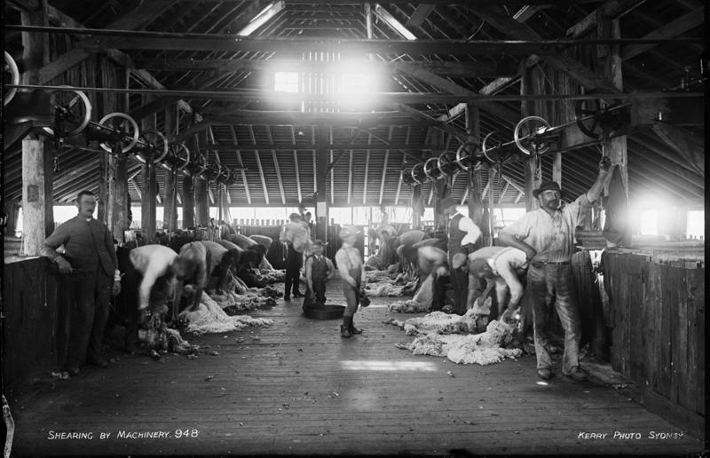 Australian ingenuity at its finest, Boomerang (up to 50,000 years ago), Didgeridoo (up to 40,000 years ago), Mechanised grain stripper (1843), Refrigerator (1851), Ballot box (1856), Granny Smith apple (1868), Sheep-shearing machine (1877), Electric drill (1889), Powered flying machine (1894), Notepad (1902), Kiwi Boot Polish (1906), Tank (1912), Clapperboard (1920s), Electronic pacemaker (1926), Commercial penicillin (1939), Zinc cream (1940), Distance measuring equipment (1944/45), Disposable hypodermic syringe (1949), Solar water heater (1953), Black box flight recorder (1953), Shrink- and crease-free wool (1957), Plastic spectacle lenses (1960), Disposable latex gloves (1964), Box/cask wine (1965), Inflatable escape slide and raft (1965), Zanamivir/Relenza (1989), Polymer bank note (1988), Extended wear contact lenses (1991), Wi-Fi (1992)