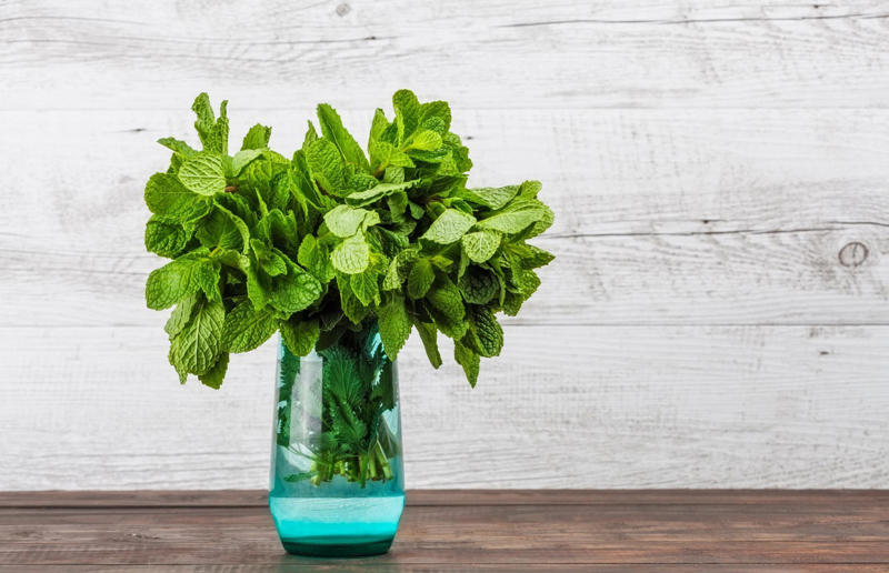 2. Store herbs like flowers 67. Give breadcrumbs extra flavour, 66. Improve a boxed cake mix, 65. Warm a knife for neat slicing, 64. Make French toast in the slow cooker, 63. Ripen bananas slowly with a banana hanger, 62. Make dressing with almost-empty jars, 61. Use overripe bananas for the best banana bread, 60. Use vegetable water in gravy, 59. Add nutritional yeast for a cheesy flavour, 58. Combine miso and butter for a flavour hit, 57. Make frozen coffee cubes, 56. Pair your pasta and sauce correctly, 55. Keep baked goods soft with a slice of bread, 54. Use ice cube trays to freeze leftover sauce, 53. Use an ice cream scoop for meatballs, 52. Add sugar to savoury dishes and salt to sweet, 51. Peel tomatoes like a pro, 50. Prep ahead for smoothies, 49. Apply baking soda to stained food storage containers, 48. Try the hedgehog mango trick, 47. Stop syrup sticking to your spoons, 46. Use carbonated drinks for lighter batter, 45. Be creative with ketchup, 44. Buy ovenproof storage containers, 43. Sweeten tomato sauce with a carrot, 42. Make and freeze breakfast burritos, 41. Bulk out sauces with lentils, 40. Mix it up with a mug omelette, 39. Blanch your vegetables, 38. Use orange juice in marinades, 37. Put pasta water to good use, 36. Add beetroot to brownies, 35. Use a cupcake tin for egg muffins, 34. Roast potatoes in mayonnaise, 33. Raise your mac 'n' cheese game with mustard, 32. Score meat skin, 31. Ditch the oven for mug cakes, 30. Freeze fresh ginger, 29. Massage kale, 28. Use bread to stop your sugar clumping, 27. Froth milk the easy way, 26. Say yes to soy sauce on popcorn, 25. Use the microwave to peel garlic, 24. Cook bacon in the microwave, 23. Stop soggy sandwiches, 22. Separate onions and potatoes, 21. Use the float test for eggs, 20. Transform cake fails, 19. Use bicarbonate of soda to tenderise meat, 18. Store herby butter in the freezer, 17. Reuse sauce bottles for pancakes, 16. Turn your peanut butter jar upside down, 15. Stop using boiling water for coffee, 14. Use a hand mixer for mashed potatoes, 13. Microwave pizza with water, 12. Grate butter for easy spreading, 11. Microwave lemons to get more juice, 10. Make hash browns in your waffle iron, 9. Use a wine bottle as a rolling pin, 8. Use mayonnaise for perfect toasties, 7. Revive old bread with water, 6. Use your microwave for baked potatoes, 5. Rescue burnt biscuits with a grater, 4. Salvage split Hollandaise, 3. Poach eggs in cling film, 2. Store herbs like flowers