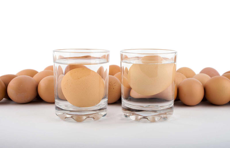 21. Use the float test for eggs 67. Give breadcrumbs extra flavour, 66. Improve a boxed cake mix, 65. Warm a knife for neat slicing, 64. Make French toast in the slow cooker, 63. Ripen bananas slowly with a banana hanger, 62. Make dressing with almost-empty jars, 61. Use overripe bananas for the best banana bread, 60. Use vegetable water in gravy, 59. Add nutritional yeast for a cheesy flavour, 58. Combine miso and butter for a flavour hit, 57. Make frozen coffee cubes, 56. Pair your pasta and sauce correctly, 55. Keep baked goods soft with a slice of bread, 54. Use ice cube trays to freeze leftover sauce, 53. Use an ice cream scoop for meatballs, 52. Add sugar to savoury dishes and salt to sweet, 51. Peel tomatoes like a pro, 50. Prep ahead for smoothies, 49. Apply baking soda to stained food storage containers, 48. Try the hedgehog mango trick, 47. Stop syrup sticking to your spoons, 46. Use carbonated drinks for lighter batter, 45. Be creative with ketchup, 44. Buy ovenproof storage containers, 43. Sweeten tomato sauce with a carrot, 42. Make and freeze breakfast burritos, 41. Bulk out sauces with lentils, 40. Mix it up with a mug omelette, 39. Blanch your vegetables, 38. Use orange juice in marinades, 37. Put pasta water to good use, 36. Add beetroot to brownies, 35. Use a cupcake tin for egg muffins, 34. Roast potatoes in mayonnaise, 33. Raise your mac 'n' cheese game with mustard, 32. Score meat skin, 31. Ditch the oven for mug cakes, 30. Freeze fresh ginger, 29. Massage kale, 28. Use bread to stop your sugar clumping, 27. Froth milk the easy way, 26. Say yes to soy sauce on popcorn, 25. Use the microwave to peel garlic, 24. Cook bacon in the microwave, 23. Stop soggy sandwiches, 22. Separate onions and potatoes, 21. Use the float test for eggs, 20. Transform cake fails, 19. Use bicarbonate of soda to tenderise meat, 18. Store herby butter in the freezer, 17. Reuse sauce bottles for pancakes, 16. Turn your peanut butter jar upside down, 15. Stop using boiling water for coffee, 14. Use a hand mixer for mashed potatoes, 13. Microwave pizza with water, 12. Grate butter for easy spreading, 11. Microwave lemons to get more juice, 10. Make hash browns in your waffle iron, 9. Use a wine bottle as a rolling pin, 8. Use mayonnaise for perfect toasties, 7. Revive old bread with water, 6. Use your microwave for baked potatoes, 5. Rescue burnt biscuits with a grater, 4. Salvage split Hollandaise, 3. Poach eggs in cling film, 2. Store herbs like flowers