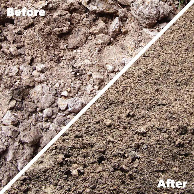 An Eroding Slope, Additional Expert Insight, Heavy Shade Kills Grass, Additional Expert Insight, “Gumbo” Soil Won’t Drain, Additional Expert Insight, Multiplying Mushrooms, Expert Insight, Seasonal Swamp, Expert Insight, Boggy backyard, Additional Expert Insight, About the Experts