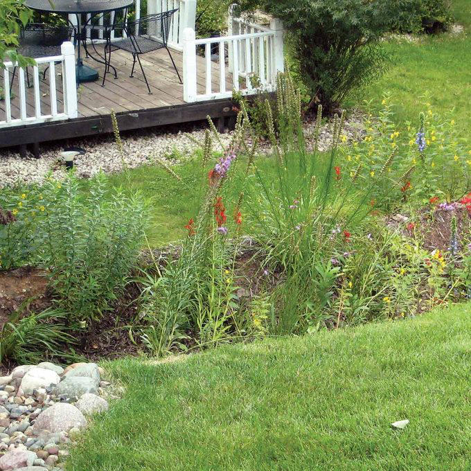 An Eroding Slope, Additional Expert Insight, Heavy Shade Kills Grass, Additional Expert Insight, “Gumbo” Soil Won’t Drain, Additional Expert Insight, Multiplying Mushrooms, Expert Insight, Seasonal Swamp, Expert Insight, Boggy backyard, Additional Expert Insight, About the Experts