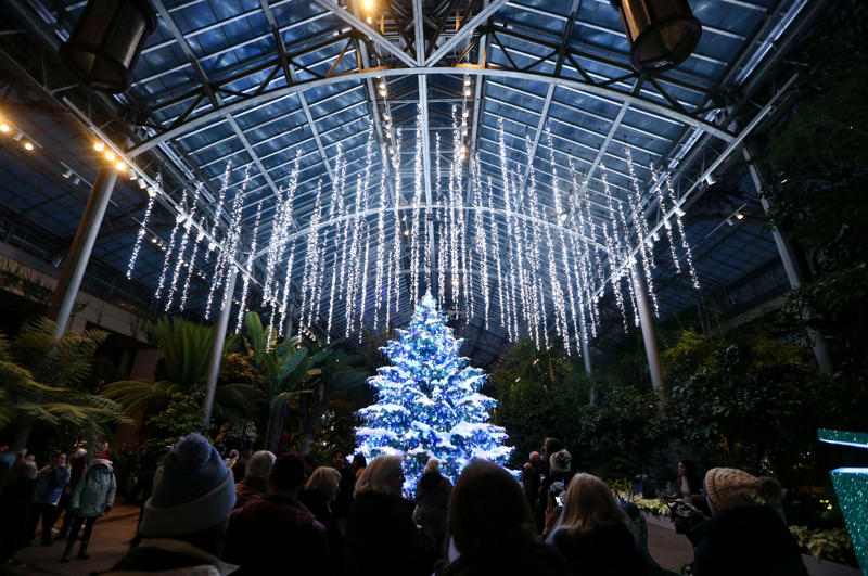 When does Advent start? How Christians prepare for Christmas, How and where to see millions of Delaware Christmas lights in 2025, Christmas concerts & more to warm your Delaware heart in 2025, These Delaware restaurants are open on Christmas Day 2025, Everything to know and do this Christmas at the Delaware beaches, Delaware Christmas pop-up bars slinging drinks like Resting Blitz Face, 22 Christmas, holiday parades in and around Delaware, Celebrate Christmas in Pennsylvania with holiday festivals at Hersheypark, Sesame Place
