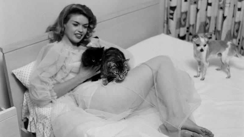 1950年代のハリウッドを席巻, 抜群のプロポーション, ジェーンの髪はブルネット, 17歳で最初の結婚, 美人コンテストに出場, ブロンドに染める, 『女はそれを我慢できない』（1956年）, ゴールデングローブ賞を受賞, ソフィア・ローレンとの邂逅, 時代遅れの存在に, ビートルズとナイトクラブで, ハリウッドから忘れ去られる, 晩年はナイトクラブや低予算映画に, 自動車事故で死亡, 前方のトレーラーにめりこむ, 「マンスフィールド・バー」