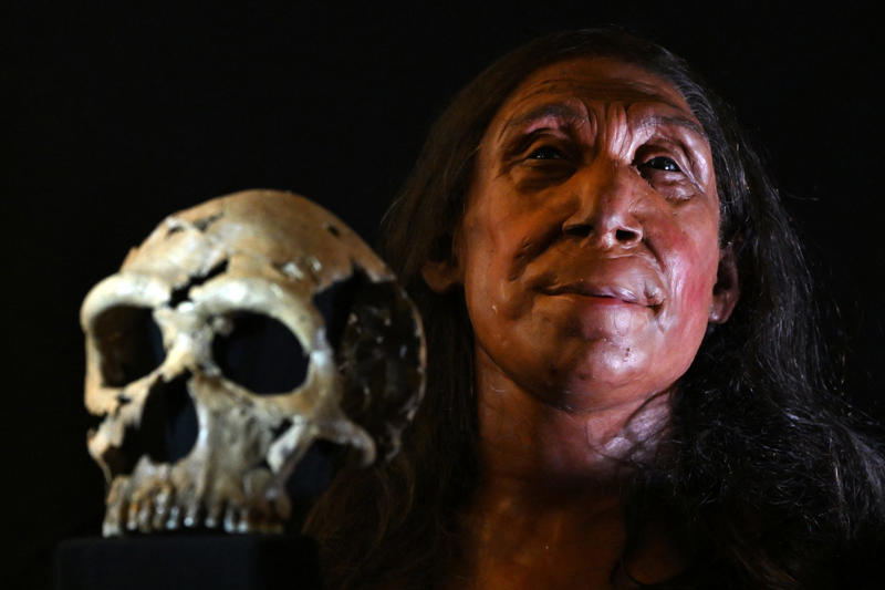 New study, Better adaptation, An enduring mystery, Shifting magnetic field, Auroras, sun particles, and heat, Linking it with other elements, Primitive sunscreen, Increased radiation, Other skills, Neanderthal extinction, Correlational