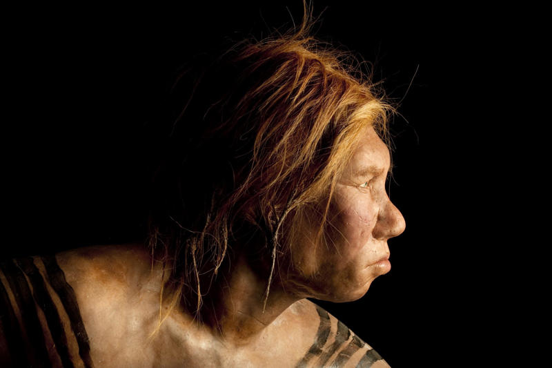 New study, Better adaptation, An enduring mystery, Shifting magnetic field, Auroras, sun particles, and heat, Linking it with other elements, Primitive sunscreen, Increased radiation, Other skills, Neanderthal extinction, Correlational