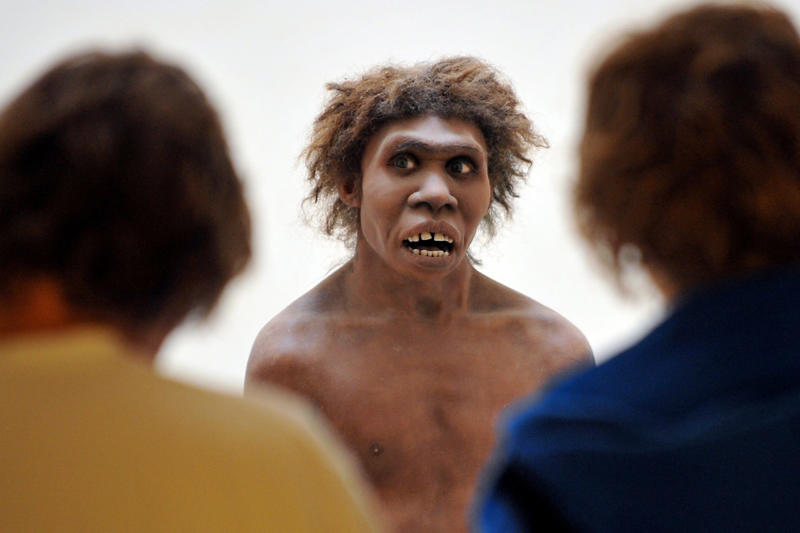 Recognizing each other as New discovery, Face remains, Unknown ancestor, Oldest remains, Homo Erectus?, Eastern Europe, The link between species, Timing human entry into Western Europe, Waves of migration, Large blank periods, Norther Spain cave