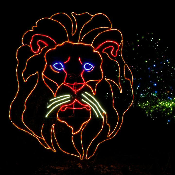Best zoo lights, Best botanical garden lights, Best public holiday lights display, Best holiday market , Best destinations for snow
