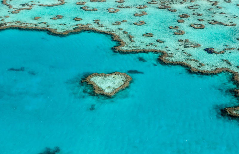 Heart Reef, Queensland, Australia Off limits, Svalbard Global Seed Vault, Norway, North Sentinel Island, India, Pine Gap, Northern Territory, Australia, Poveglia, Italy, Heard Island, Australia, Ilha da Queimada Grande, Brazil, Surtsey, Iceland, Area 51, Nevada, USA, Sana'a, Yemen, Point Nepean National Park, Victoria, Australia, Chapel of the Ark of the Covenant, Ethiopia, Timbuktu, Mali, Heart Reef, Queensland, Australia, Ni’ihau, Hawaii, USA, Mount Athos, Greece, Cartier Island Marine Park, Australia, Leptis Magna, Libya, Navassa Island, Uluru, Northern Territory, Australia