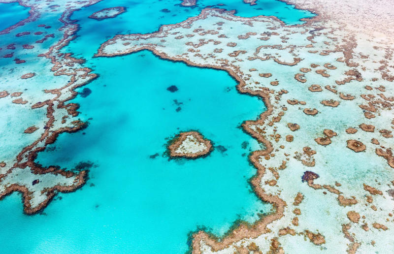 Heart Reef, Queensland, Australia Off limits, Svalbard Global Seed Vault, Norway, North Sentinel Island, India, Pine Gap, Northern Territory, Australia, Poveglia, Italy, Heard Island, Australia, Ilha da Queimada Grande, Brazil, Surtsey, Iceland, Area 51, Nevada, USA, Sana'a, Yemen, Point Nepean National Park, Victoria, Australia, Chapel of the Ark of the Covenant, Ethiopia, Timbuktu, Mali, Heart Reef, Queensland, Australia, Ni’ihau, Hawaii, USA, Mount Athos, Greece, Cartier Island Marine Park, Australia, Leptis Magna, Libya, Navassa Island, Uluru, Northern Territory, Australia
