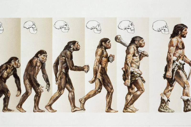 The march of time, 50,000 years from now, The future of humanity, More homogenous, The beautiful generation, DNA editing, Beyond EARTH, Today's problems, tomorrow's nightmare?, What's a millenium, anyway?