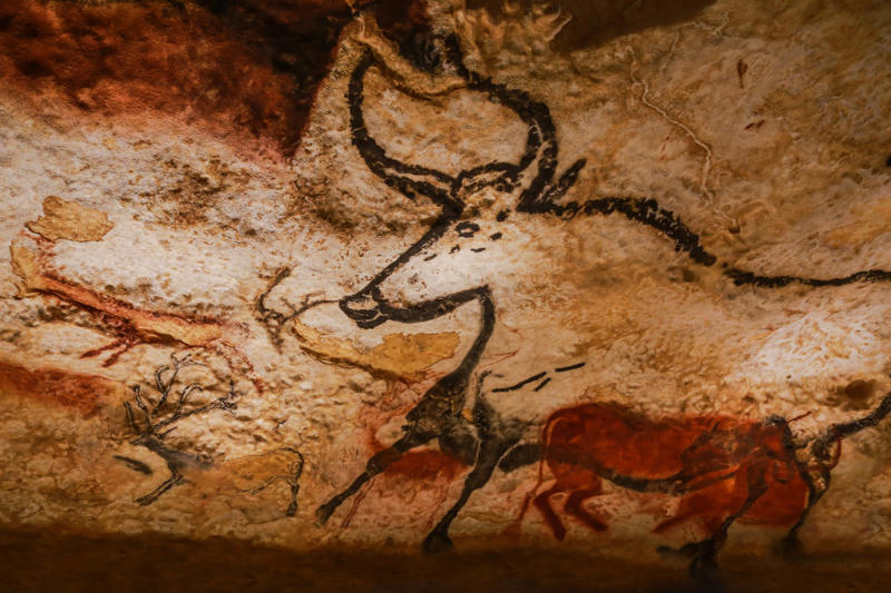 New study, Better adaptation, An enduring mystery, Shifting magnetic field, Auroras, sun particles, and heat, Linking it with other elements, Primitive sunscreen, Increased radiation, Other skills, Neanderthal extinction, Correlational