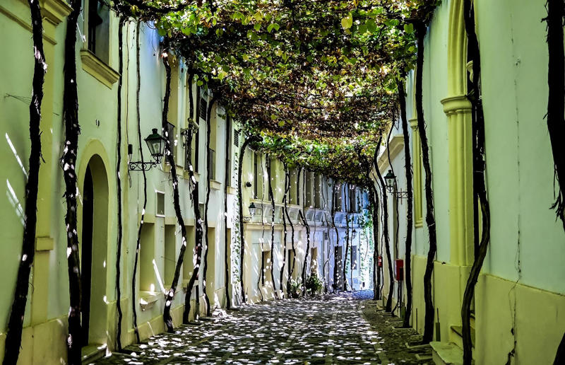 Calle Ciegos, Jerez, Spain 33. 25th Street, Ogden, Utah, USA, 32. Abbey Road, London, England, UK, 31. Heerstraße, Bonn, Germany, 30. Christmas Steps, Bristol, England, UK, 29. Rue du Petit-Champlain, Québec City, Canada, 28. Beale Street, Memphis, Tennessee, USA, 27. Steiner Street, San Francisco, California, USA, 26. Times Square, New York City, New York, USA, 25. Calle Ciegos, Jerez, Spain, 24. Streets of Chefchaouen, Morocco, 23. Avenue des Champs-Élysées, Paris, France, 22. Fiskargränd, Visby, Sweden, 21. Nathan Road, Hong Kong, 20. Nyhavn, Copenhagen, Denmark, 19. Via Dolorosa, Jerusalem, 18. The Royal Mile, Edinburgh, Scotland, UK, 17. Via Giudecca, Burano, Italy, 16. La Rambla, Barcelona, Spain, 15. Herbert Baker Street, Groenkloof, South Africa, 14. Caminito, Buenos Aires, Argentina, 13. Umbrella Sky Project (R. Luís de Camões), Águeda, Portugal, 12. Lombard Street, San Francisco, California, USA, 11. Calleja de las Flores, Córdoba, Spain, 10. Acorn Street, Boston, Massachusetts, USA, 9. Bourbon Street, New Orleans, Louisiana, USA, 8. Streets of Paraty, Brazil, 7. Jinli, Chengdu, China, 6. The Shambles, York, England, UK, 5. Philosopher's Path, Kyoto, Japan, 4. Streets of Alberobello, Italy, 3. Quai de la Poissonnerie, Colmar, France, 2. Via dei Fori Imperiali, Rome, Italy