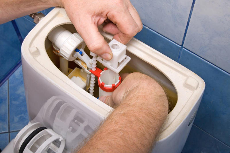 Spiking Water Bills Discolored Pipes, No Water in Winter, Spiking Water Bills, Bubbling Ceiling or Wall Paint, Green Patch in the Yard, Shocking Water Color