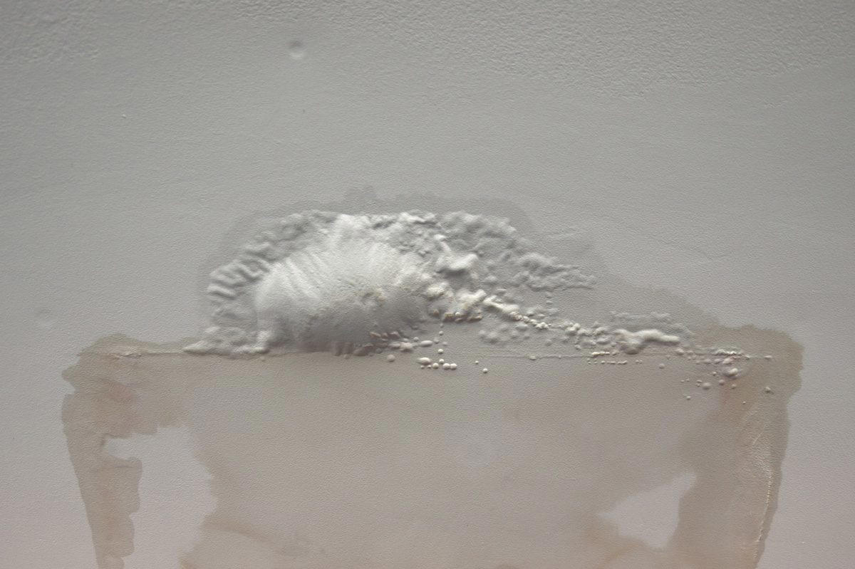 Bubbling Ceiling or Wall Paint Discolored Pipes, No Water in Winter, Spiking Water Bills, Bubbling Ceiling or Wall Paint, Green Patch in the Yard, Shocking Water Color