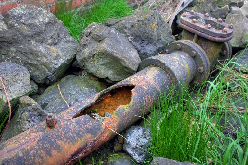 Green Patch in the Yard Discolored Pipes, No Water in Winter, Spiking Water Bills, Bubbling Ceiling or Wall Paint, Green Patch in the Yard, Shocking Water Color